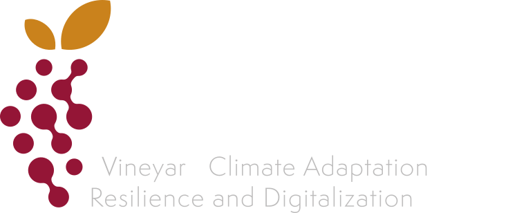 VineCARD